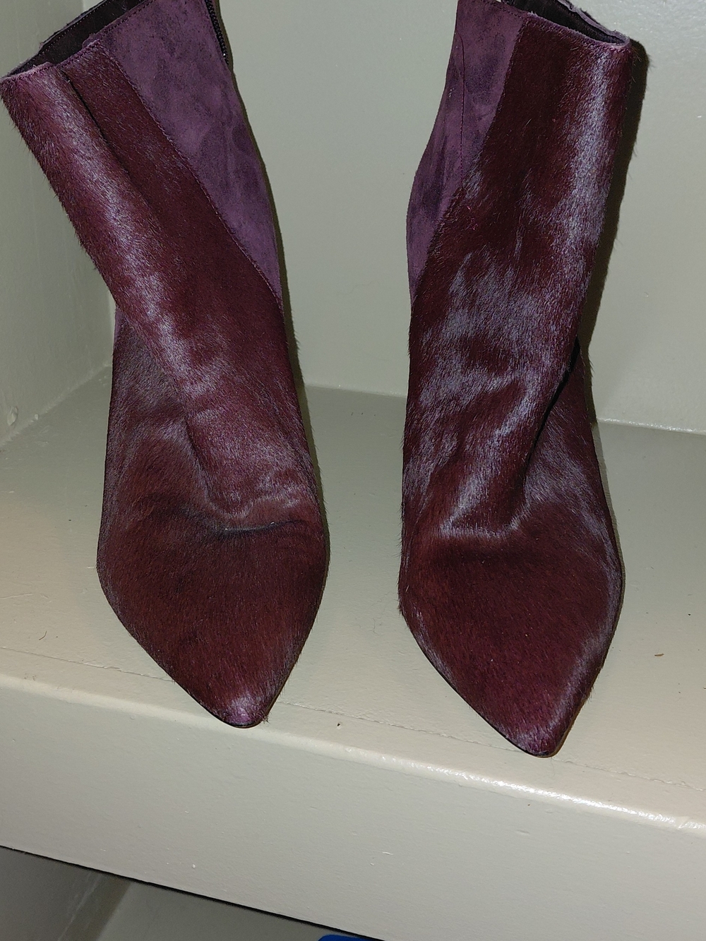 Sam Edelman Pointed Toe Ankle Boots in Burgundy